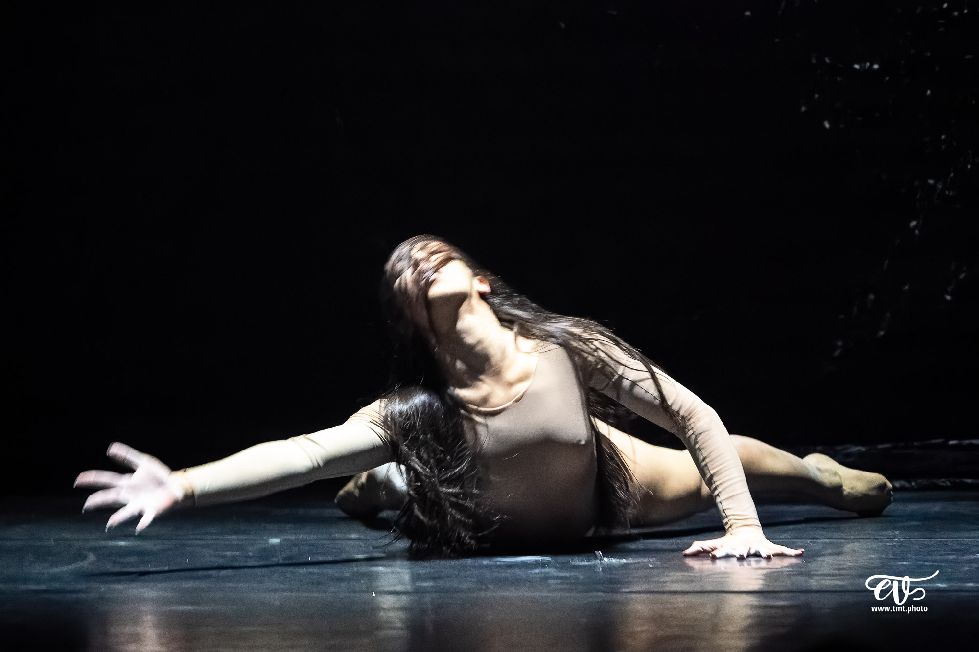 PARADISUM (CIE RECIRQUEL)